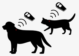 The pettrac pet recovery database securely maintains. Peeva Fetch Central Pet Microchip Registry And Pet Imac 27 Hd Png Download Kindpng