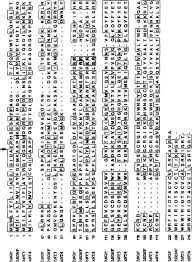 The total size of the downloadable vector file is 0.4 mb and it contains the aadk logo in.eps format along with. Nonhuman Primate Models In Trophic Factor Research Springerlink