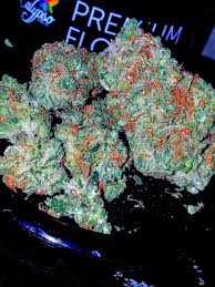 Crown Royale (Blueberry X Purple Kush) : r/trees