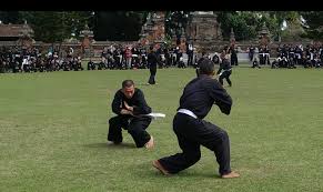 Gerakan kembangan wayang ala psht psht seni sambung psht vs kera sakti psht lagu gerakan jurus kunci sh terate ini adalah jurus yang mematahkan serangan dari segala arah dan sangat. Ratusan Siswa Psht Se Bali Jalani Pendadaran Di Taman Pujaan Bangsa Margarana Kabarnusa Com