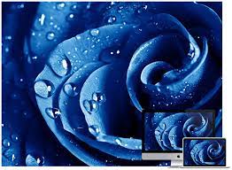 Maybe you would like to learn more about one of these? 60 Beautiful Flowers Wallpapers To Download Hongkiat