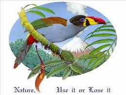 So, when that fluffy dog makes us feel like it's the adorable thing in the world, there is a lot of science to back up the warm and fuzzy feelings. Bird List How Many Birds In The World