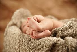 Tento druh nikdy nebyl používán k pracím. Lama Decken Aus 100 Alpakawolle Kaufen Lamadecke De