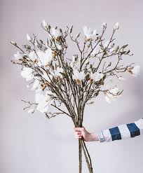 Pin On Flower Ideas