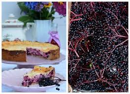 fruchtiger kasekuchen mit holunderbeeren die backschwestern rezept holunderbeeren kuchen kochen und backen