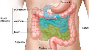 Sakit perut adalah gejala yang selalu berlaku dalam masyarakat. 3 Punca Utama Sakit Atau Tak Selesa Pada Peranakan Ini Penjelasan Doktor Is Locked 3 Punca Utama Sakit Atau Tak Selesa Pada Peranakan Ini Penjelasan Doktor