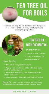 How To Use Tea Tree Oil For Boils Best Tea Tree Oil Tea Tree Oil For Acne Melaleuca Oil