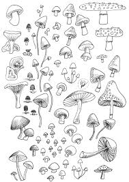 Pin On Art Ideas