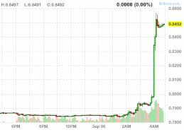 history 6 september 2011 swiss national bank acts to