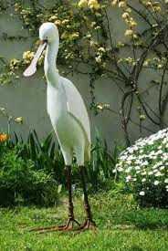 Exposition L Art Est Au Jardin 21 29 Juin 83330 Le Beausset Photos Sculptures De Roselyne Conil Presente A L Evenement Exposition Ligne De Force Jardins