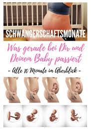 Pin Auf Schwangerschaft
