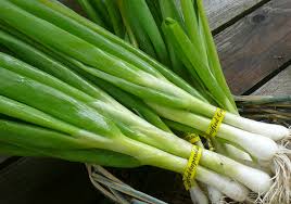 Daun bawang adalah jenis sayuran yang mudah ditanam. Cara Menanam Bawang Daun