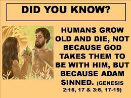 Genesis 2 16 17 3 6 17 19 Jehovah Witness Quotes Bible Answers Bible Knowledge