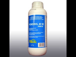 Cand erbicidul se aplica pe vegetatie spunem ca erbicidam postemergent. Erbicid Pendisol 40 Sc Selectiv Pentru Tomate Arbagic Capsuni Telina Usturoi Porumb Grau Orz Youtube