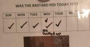 Cat Owner Creates Hilarious Feeding Chart