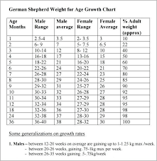 German Shepherd Growth Chart New Fun Activities For German