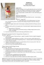 This Foster Dog S Resume Will Land Him A Job In Your Heart Cuteness Animal Shelter Volunteer Foster Dog Foster Family