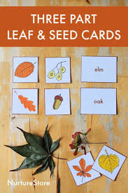 Eight Ways To Use These Free Printable Three Part Leaf Cards For Forest School Activities Nurturestore Forest School Activities Forest School School Activities