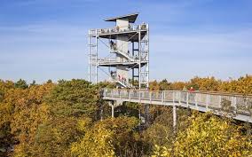 Kaum ein ort in der region ist so geheimnisvoll wie die beelitzer heilstätten, 40 kilometer südlich von berlin. 11 Schone Baumwipfelpfade In Deutschland Mit Karte