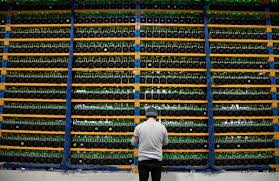 Owners need to bear in mind the size, equipment costs, operation costs and power usage before even considering starting up a rig. Bitcoin Farm Tarkov