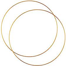 Check spelling or type a new query. Amazon Com Gold Hula Hoop