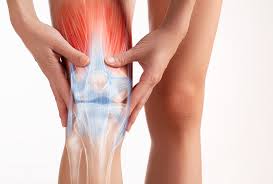 Image result for Leg Pain
