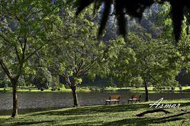 The man made tropical botanical garden of taman botani was established in putrajaya of which the lan. Kepong Botanic Gardens Forest Research Institute Malaysia Frim