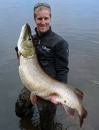 Stenhårda hugg av stora gäddor! Superfangst Ny Rekordstor Gadda Over 20 Kilo Nyheter Aktuellt Sportfiskarna