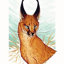 Try not to laugh challenge cats 2019 !! A Little Fluffy Rat Texelmouse Rat Rats Mouse Mice Petmouse Smallpets Pets Fluffy Big Cats Art Warrior Cats Art Animal Drawings
