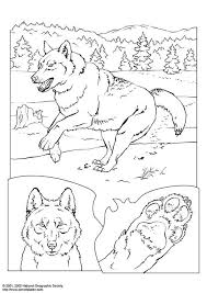 Ausmalbilder von wölfe in der kategorie tiere. Malvorlage Wolf Kostenlose Ausmalbilder Zum Ausdrucken Bild 3081