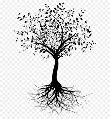 Tree Branch Silhouette Transparent Png Image In 2020 Roots Tattoo Tree Tattoo Tree Branches