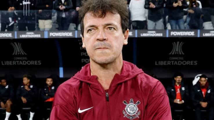STJD absolve Fernando Diniz por unanimidade ap&oacute;s confus&atilde;o no Brasileir&atilde;o