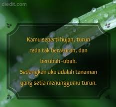 Beragam quotes galau, kata kata sakit hati, kata kata patah hati, dan jenis kata kata lainnya diatas, tentu bisa menjadi referensi anda ketika membuat status, caption instagram, cuitan di twitter, dan keperluan lainnya. Gambar Kata Kata Untuk Pacar Yang Berubah Kata Kata