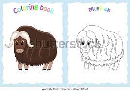 Browse the user profile and get inspired. Musk Ox Coloring Page Coloring Page
