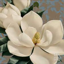 Dolce Magnolia Art Print By Igor Levashov At Art Com Flower Painting Magnolia Paint Flower Art