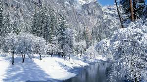 Trees With Snowy Mountains Wallpapers Top Free Trees With Snowy Mountains Backgrounds Wallpaperaccess You may be stuck indoors for the day, but a quick glance at these beautiful naturescapes will have you day dreaming to be somewhere the following three mountain wallpapers are the latest in the nomad wallpaper gallery. trees with snowy mountains wallpapers
