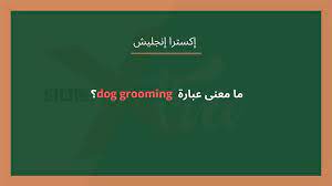 Worldwide shop with products for growing and grooming awesome beards. Ø¥ÙƒØ³ØªØ±Ø§ Ø¥Ù†Ø¬Ù„ÙŠØ´ Ù…Ø§ Ù…Ø¹Ù†Ù‰ Ø¹Ø¨Ø§Ø±Ø© Dog Grooming Bbc News Ø¹Ø±Ø¨ÙŠ