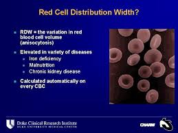What can cause red cell distribution width to be too low? Red Cell Distribution Width Rdw As A Novel