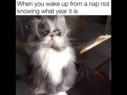 When You Wake Up From A Nap Not Knowing What Year It Is Youtube