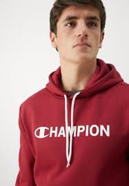 Champion GRAPHIC HOODIE