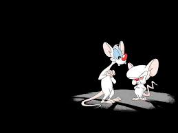 In this cartoon collection we have 27 wallpapers. Pinky And The Brain 1080p 2k 4k 5k Hd Wallpapers Free Download Wallpaper Flare