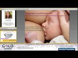 Laurel Wilson Interview