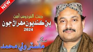 Ha Man Tuhnje Bina || Master Wali || Best Sindhi Song || New Sindhi Mehfil  Song 2024