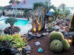 Since zen gardens require few items, and they are simple items, the cost is relatively low. Cactus Garden Design I Succulent Cactus Garden Design Youtube