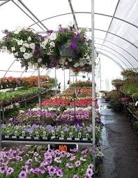 Nursery plant garden nature green flower greenhouse bloom summer blossom. Greenhouse And Nursery Oregon Agriculture In The Classroom