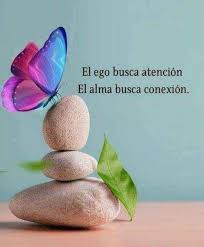 900+ ideas de FRASES Y REFLEXIONES en 2024 | frases, frases ...
