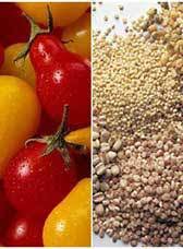 Réduire le feu, couvrir et laisser mijoter environ 15 minutes ou jusqu'à ce que le liquide soit absorbé. Recette Risotto De Quinoa Aux Legumes Plats