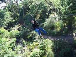 Johannesburg Outdoor Activities Team Building Zip Line