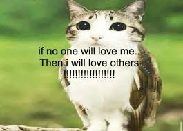 Image result for tbn:ANd9GcRWEmvaytJ1CQkSF2lgDk1_Xh0cdqytJbXz8bOBU0Ax3wsyxrU71M7YlBJP