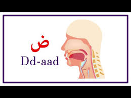 The similarities with the english language. Arabic Alphabet Pronunciation Youtube